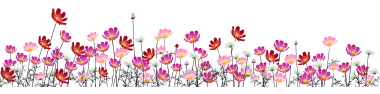 flower_border